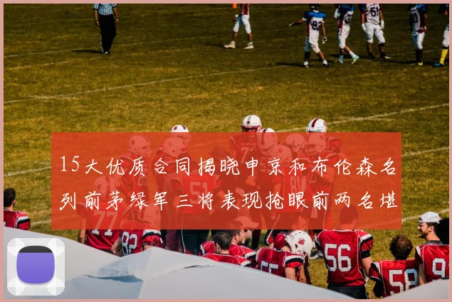 15大优质合同揭晓申京和布伦森名列前茅绿军三将表现抢眼前两名堪称传奇