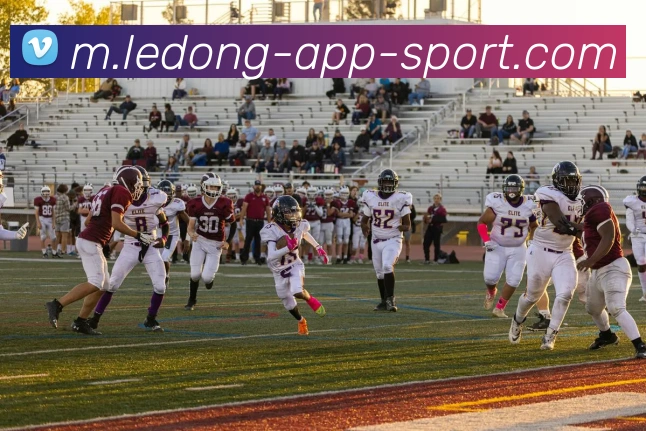 乐动体育APP 体育赛事宣传图